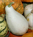 - Pumpkins - detail 1.jpg