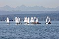 - Ammersee - Sailboats -.jpg