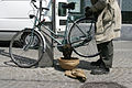 - Bee swarm on a bicycle (4-5) -.jpg