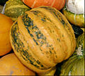 - Pumpkins - detail 3.jpg