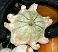 - Pumpkins - detail 4.jpg