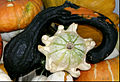 - Pumpkins - detail 5.jpg