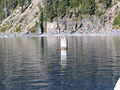 "Old Man" (driftwood), Crater Lake, OR.jpg