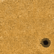 Active region in the low photosphere - Fe I 5434 Å.png