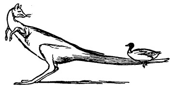 Duck and Kangeroo Edward Lear