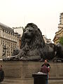 Trafalgar-lion.jpg