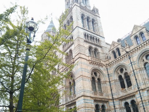 national history museum london