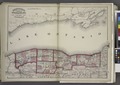 "Niagara, Orleans, Genesee, Monroe, and Wayne counties" NYPL1575787.tiff