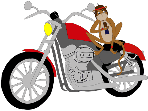 monkey on a motorcycle by Tania Fernandes