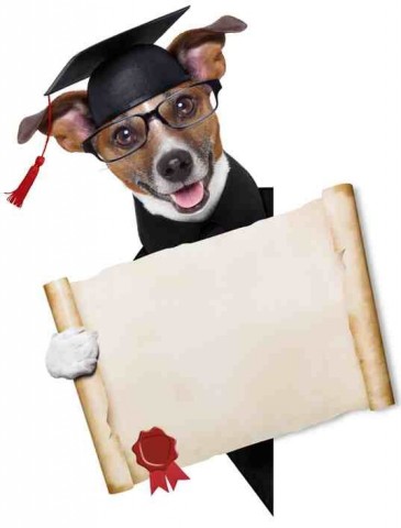 Professor Astropup 