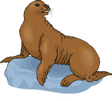 Seal