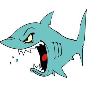 Shark