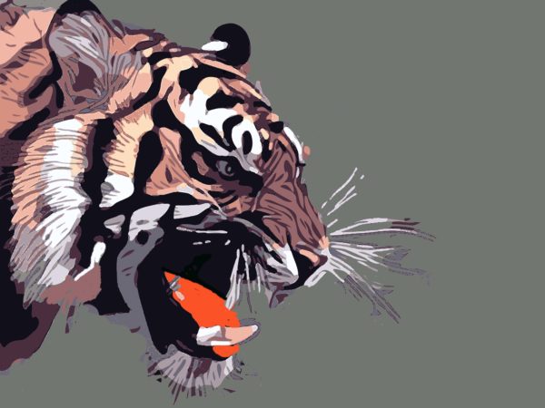 The Tiger Who Had No Manners